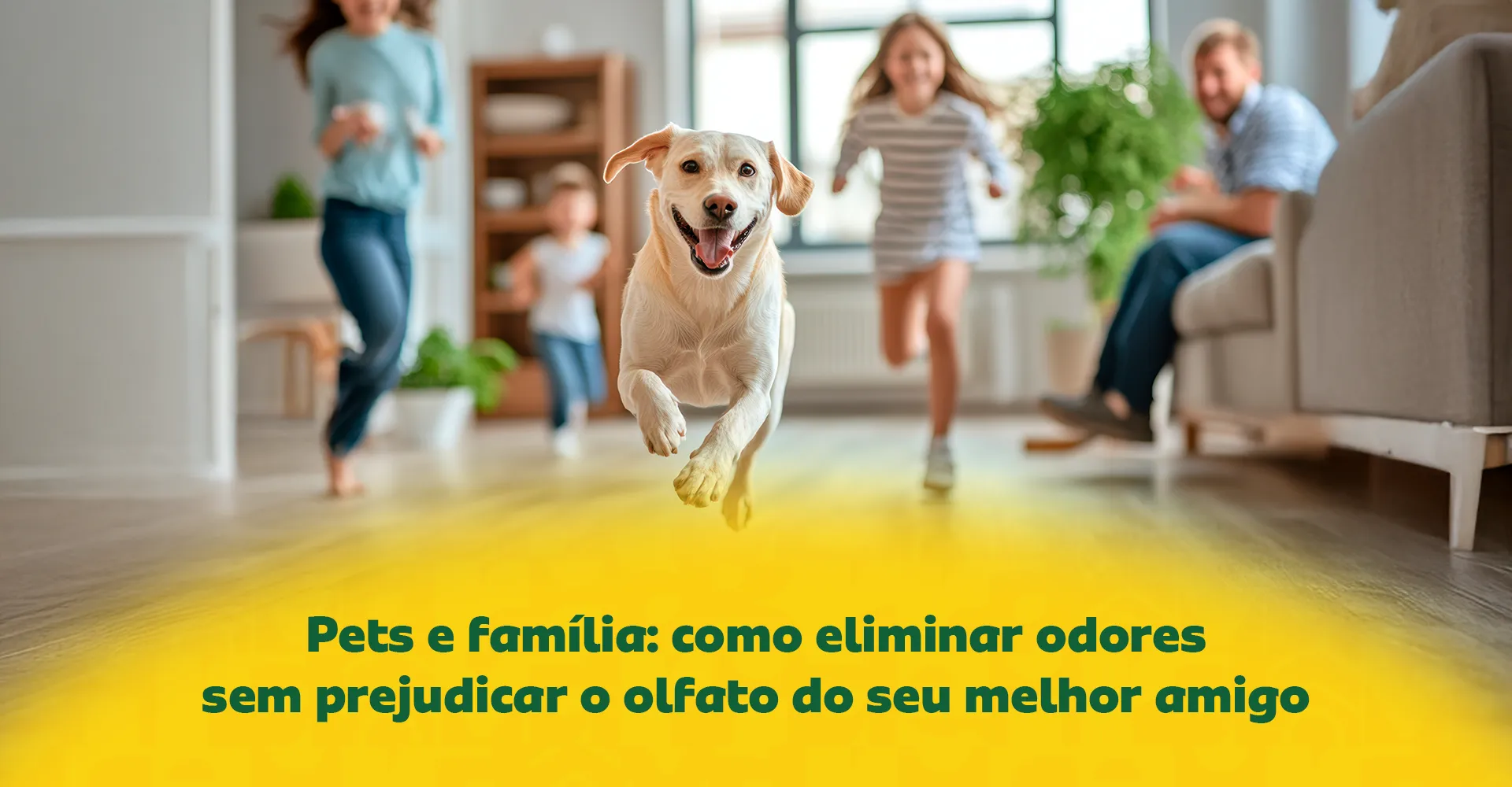 Imagem ilustrativa para o artigo Pets e família: como eliminar odores sem prejudicar o olfato do seu melhor amigo da Maria Brasileira